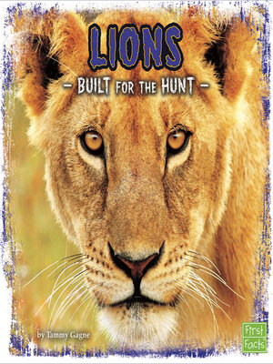 cover image of Lions
